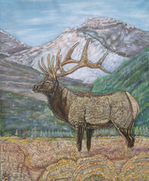 Mule Deer 18x24 $300.00