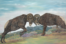 Fighting Rams 15x36 $450.00